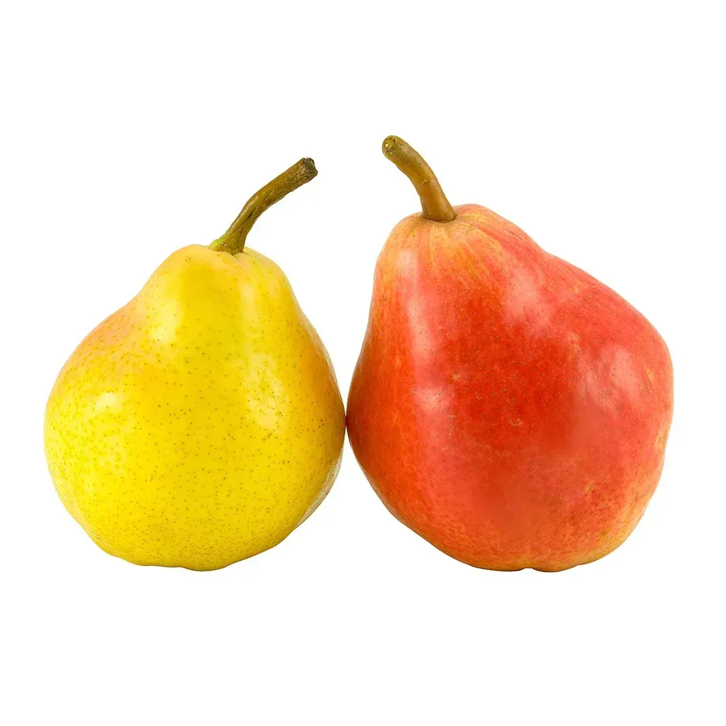 Fresh Oranage
